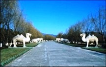 Statues near Ming Tombs